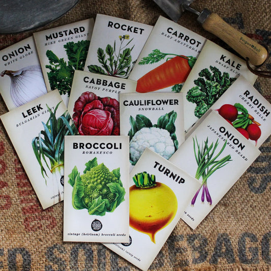 How to Efficiently Sow Vegetable Seeds