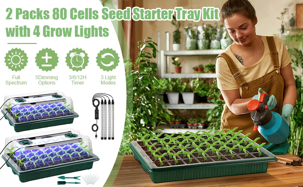 2 Packs - Seed Starter Tray with Grow Light